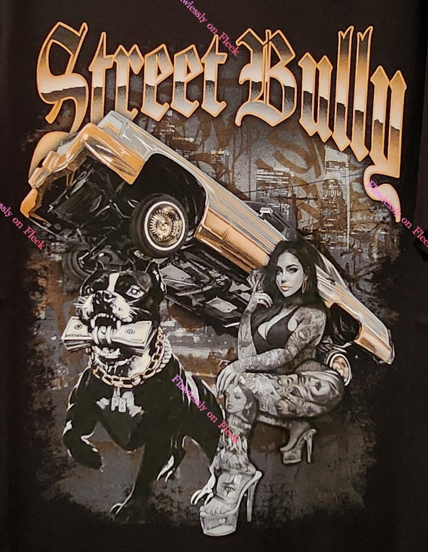 Camiseta gráfica Lowrider Street Bully